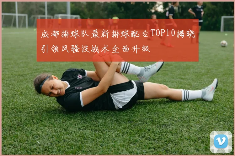 成都排球队最新排球配合TOP10揭晓引领风骚技战术全面升级