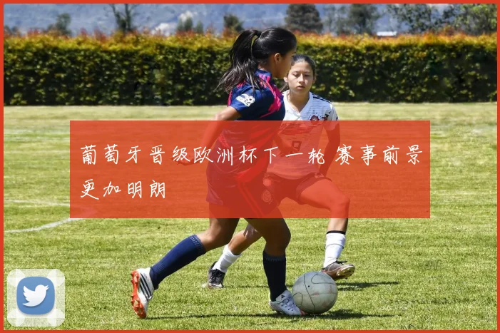 葡萄牙晋级欧洲杯下一轮 赛事前景更加明朗