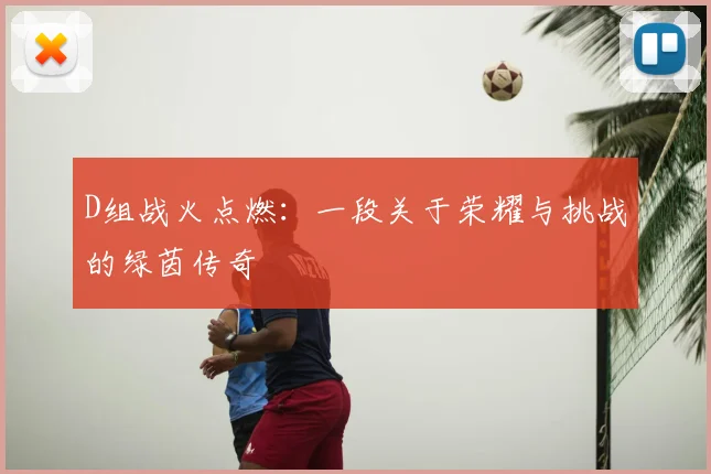 D组战火点燃：一段关于荣耀与挑战的绿茵传奇