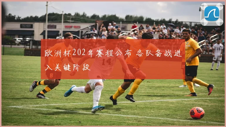 欧洲杯202年赛程公布 各队备战进入关键阶段