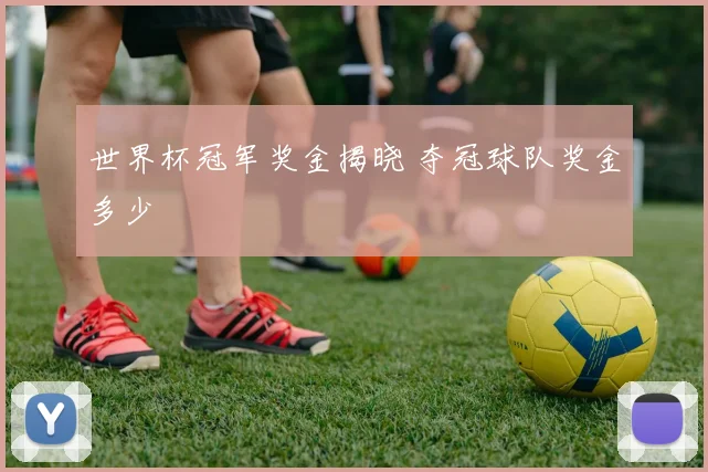 世界杯冠军奖金揭晓 夺冠球队奖金多少
