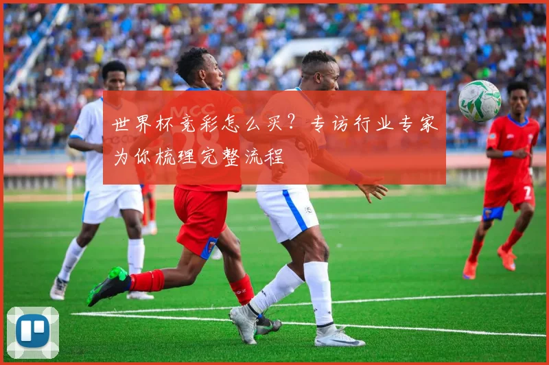 世界杯竞彩怎么买？专访行业专家为你梳理完整流程