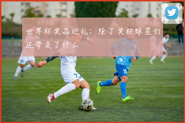 世界杯奖品巡礼:除了奖杯球星们还带走了什么