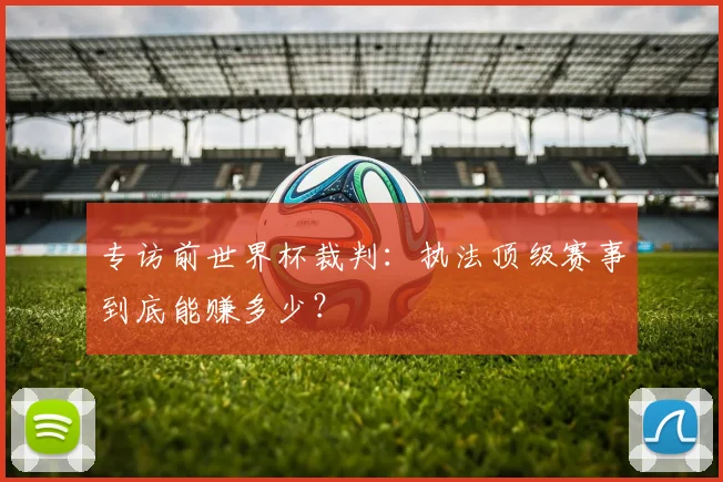专访前世界杯裁判：执法顶级赛事到底能赚多少？