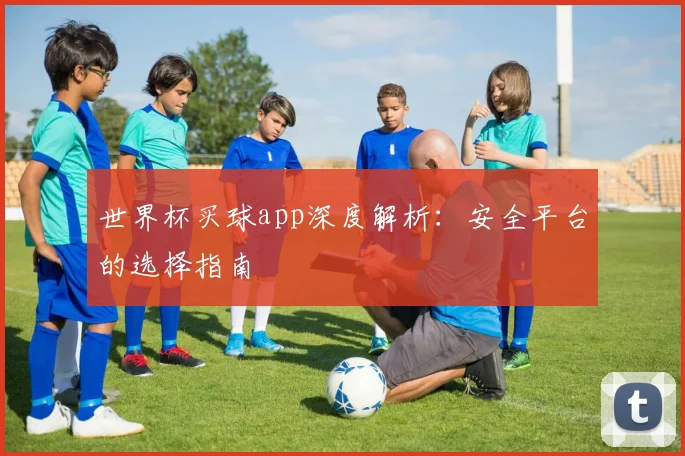 世界杯买球app深度解析：安全平台的选择指南