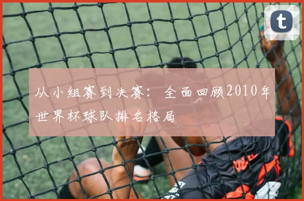 从小组赛到决赛:全面回顾2010年世界杯球队排名格局