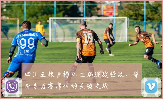四川五粮金樽队主场迎战强敌，争夺季后赛席位的关键之战