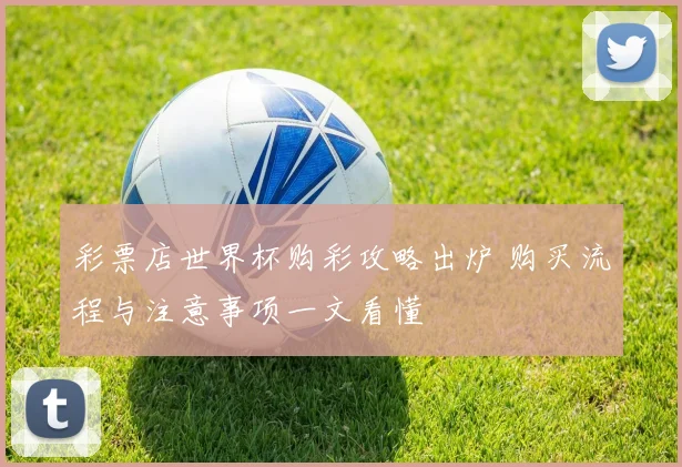 彩票店世界杯购彩攻略出炉 购买流程与注意事项一文看懂
