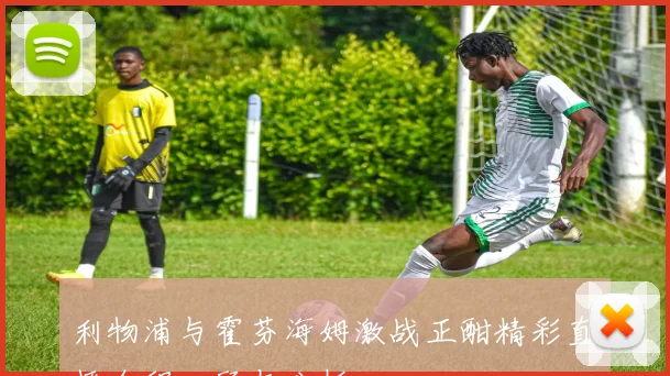 利物浦与霍芬海姆激战正酣精彩直播全程回顾与分析