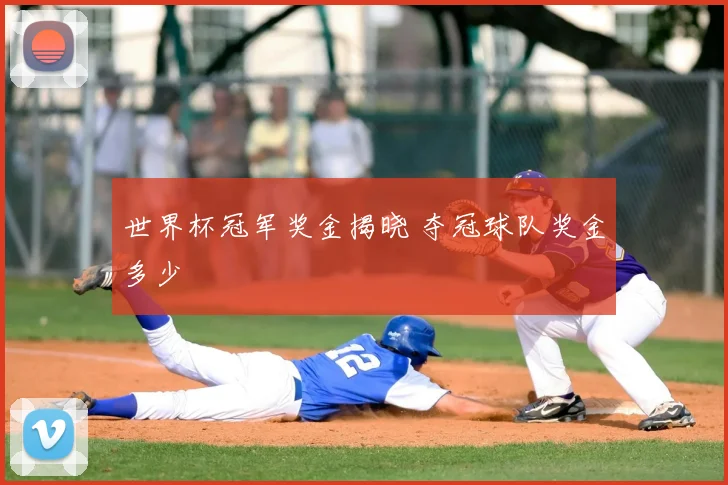 世界杯冠军奖金揭晓 夺冠球队奖金多少