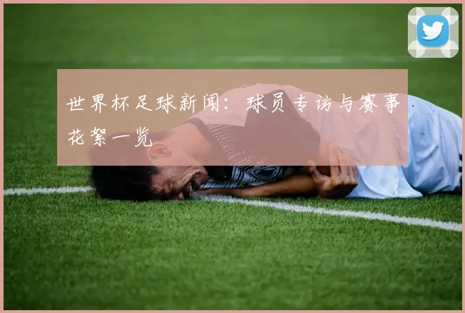 世界杯足球新闻：球员专访与赛事花絮一览