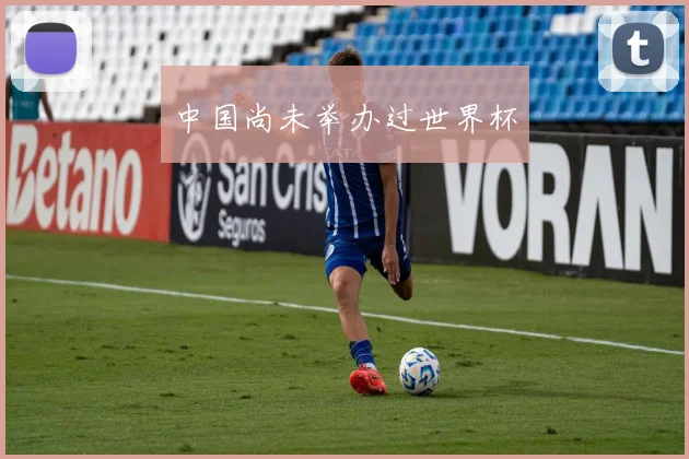 中国尚未举办过世界杯