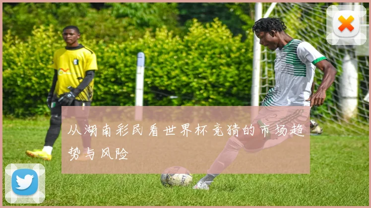 从湖南彩民看世界杯竞猜的市场趋势与风险