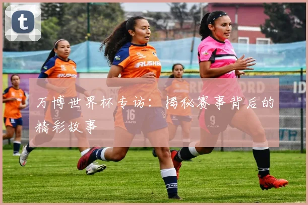 万博世界杯专访：揭秘赛事背后的精彩故事