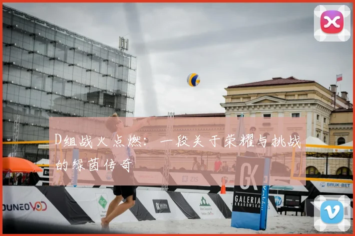 D组战火点燃：一段关于荣耀与挑战的绿茵传奇