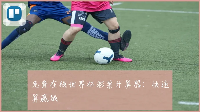 免费在线世界杯彩票计算器:快速算赢钱