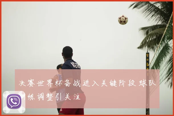 决赛世界杯备战进入关键阶段 球队训练调整引关注